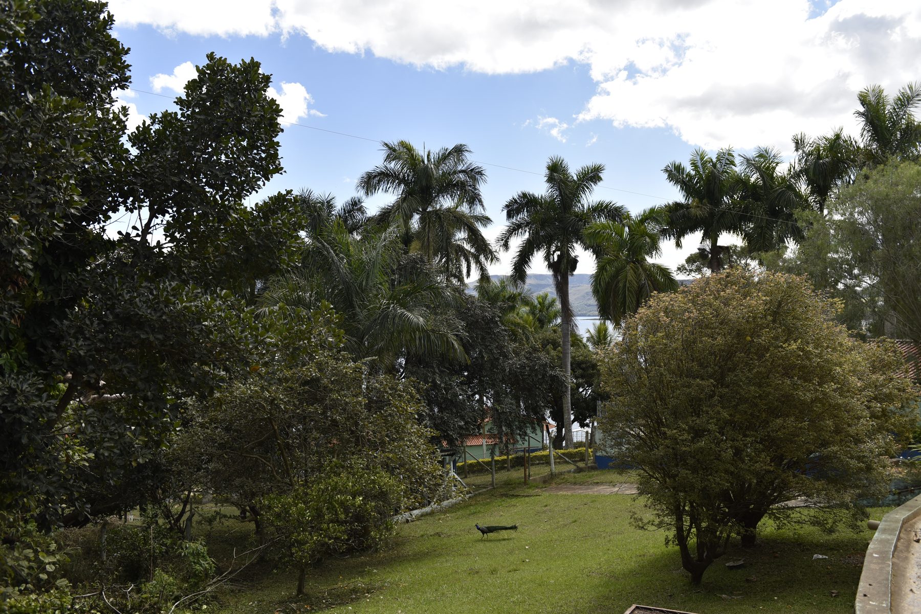 Vista da natureza na Estância Bela Vida